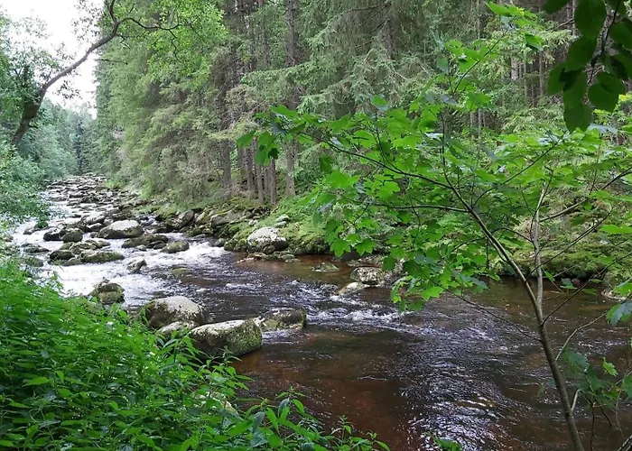 Διαμέρισμα Lipensky Raj Lipno nad Vltavou